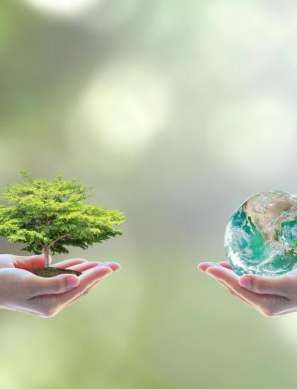 Hands hold tree and Earth, symbol of nature and environment.